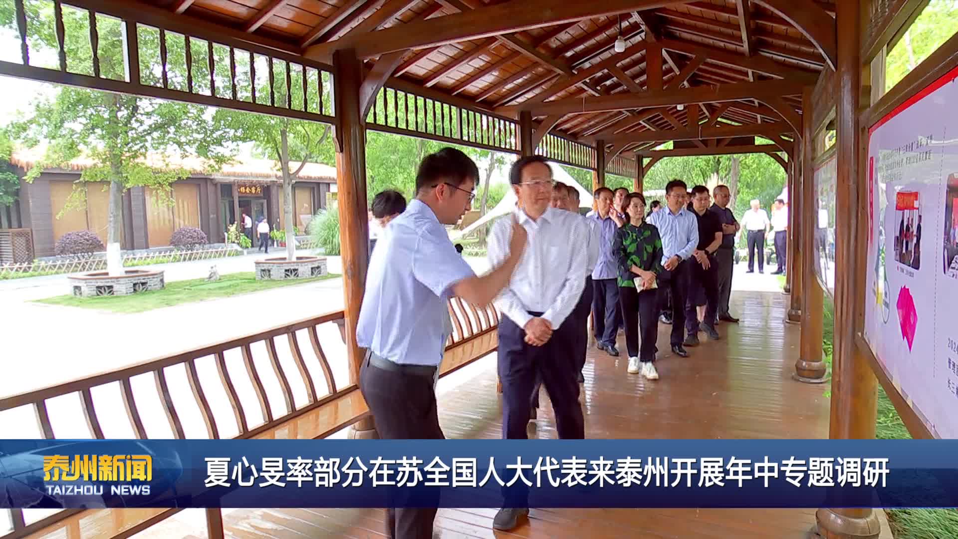 夏心旻率部分在苏全国人大代表来泰州开展年中专题调研