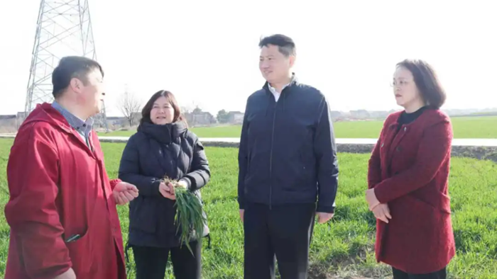 姜冬冬专题调研春季农业生产工作